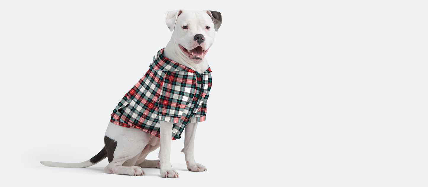 UltraModal™ Dog Hoodie | Tartan Plaid