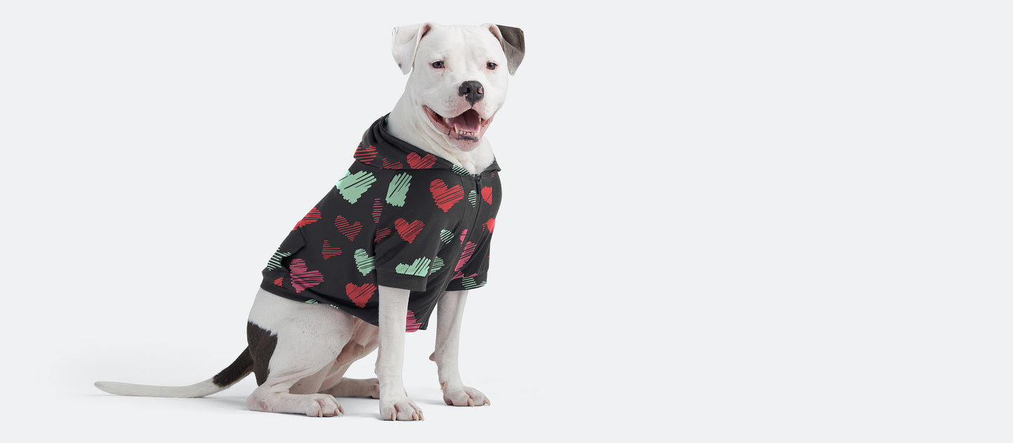 UltraModal™ Dog Hoodie | Drawn to You