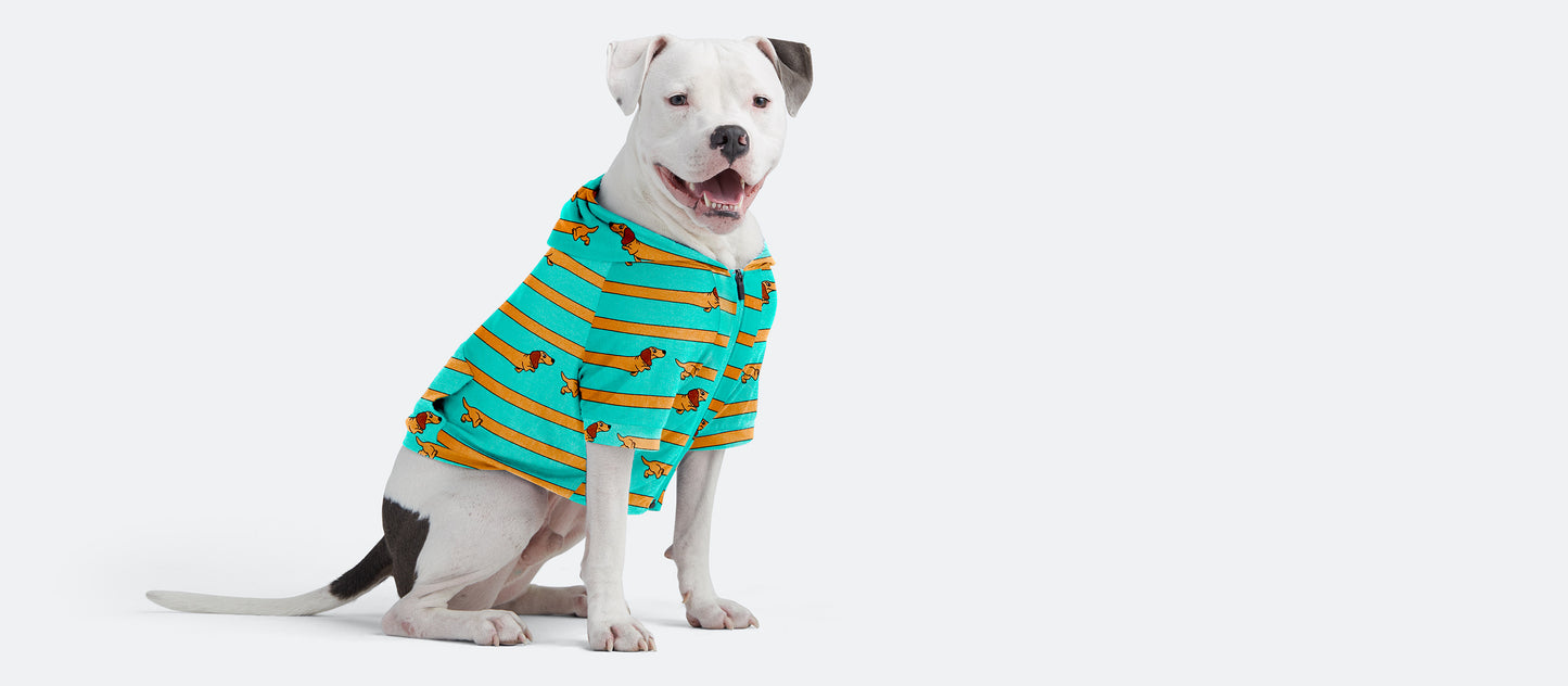 UltraModal™ Dog Hoodie | Wiener Takes All
