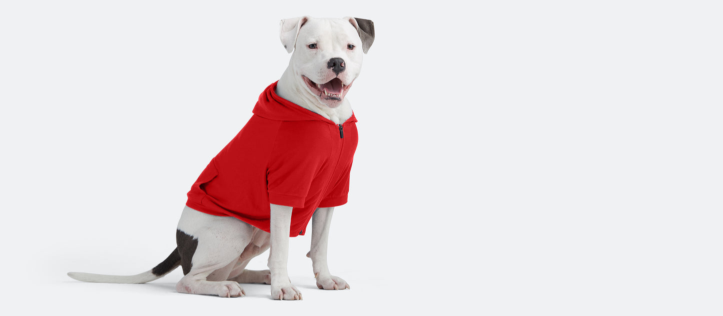 Dog Hoodie | Candy Apple