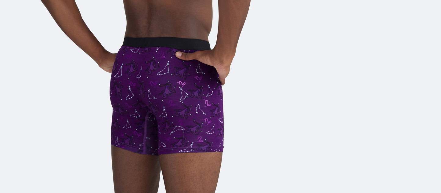 UltraModal™ Core Boxer Brief w/ Fly | Capricorn