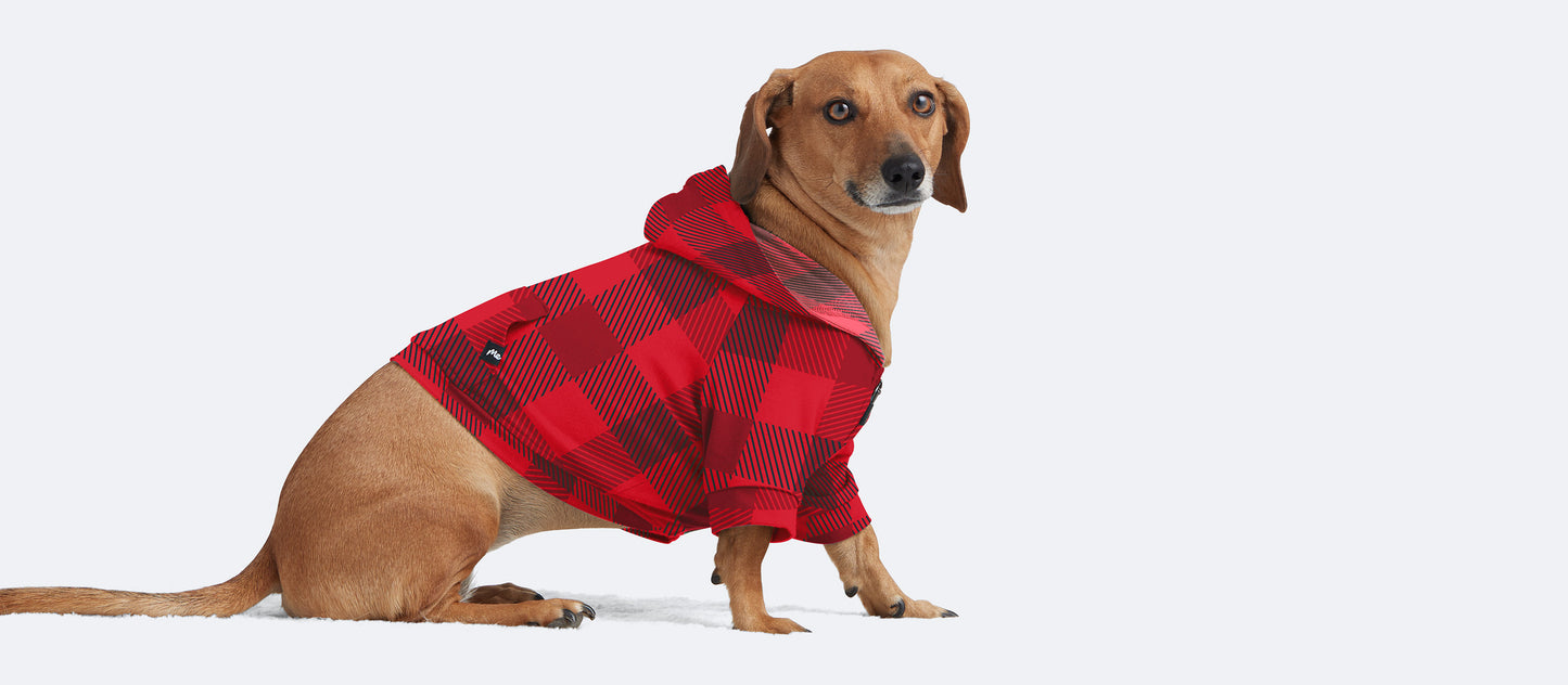 Dog Hoodie | Crimson Plaid