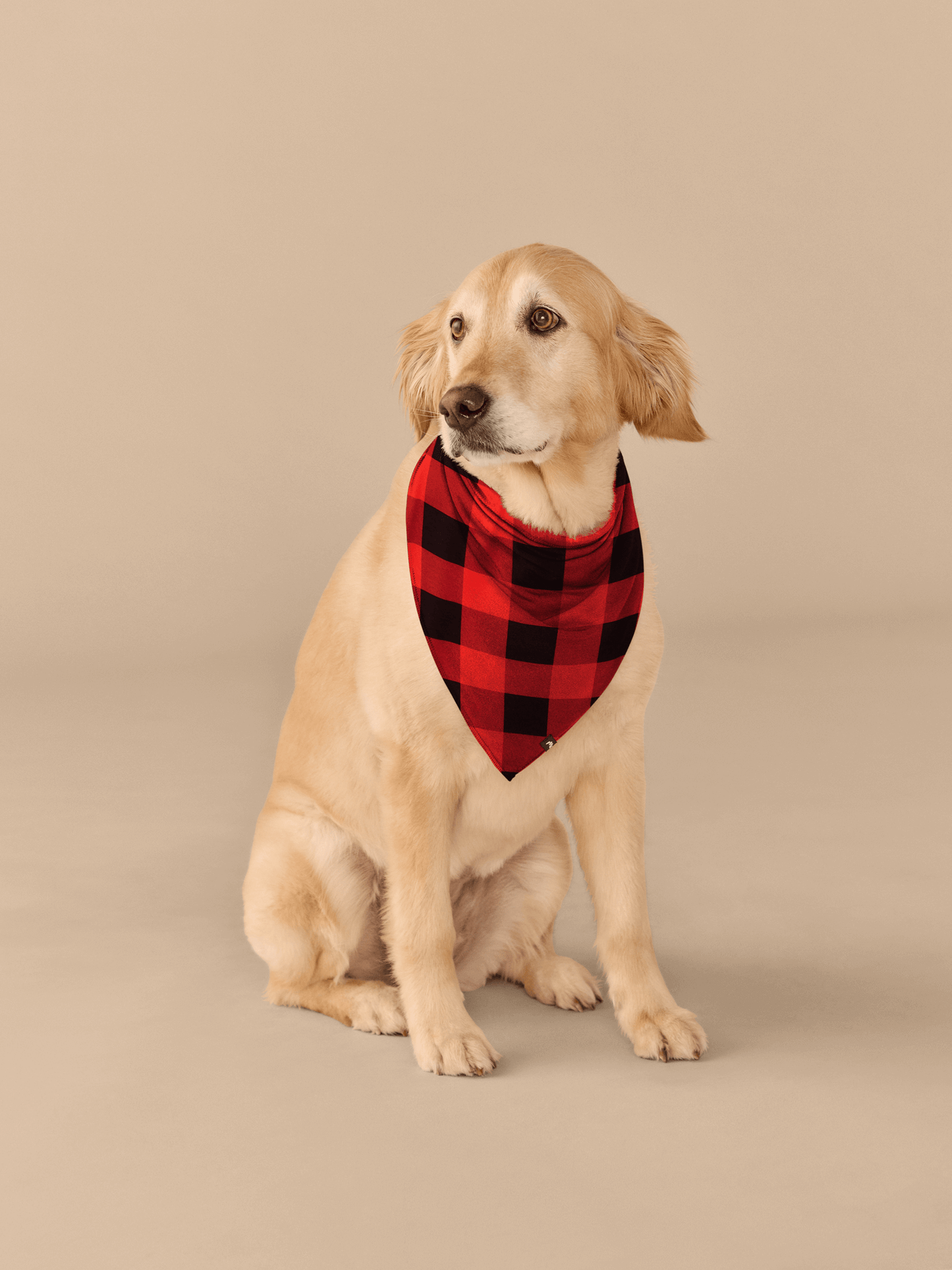 BuddyBands™ | Buffalo Plaid