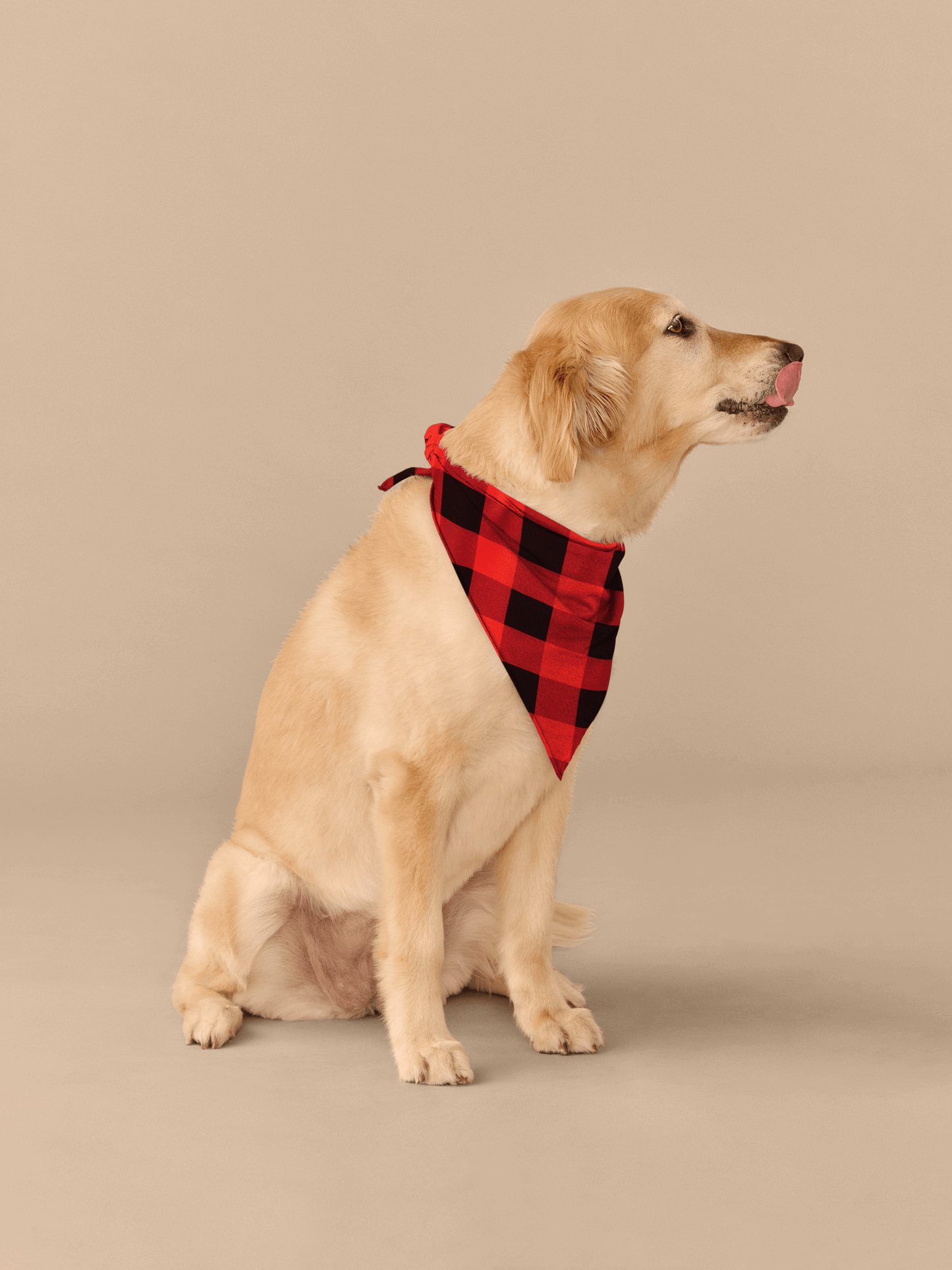 BuddyBands™ | Buffalo Plaid