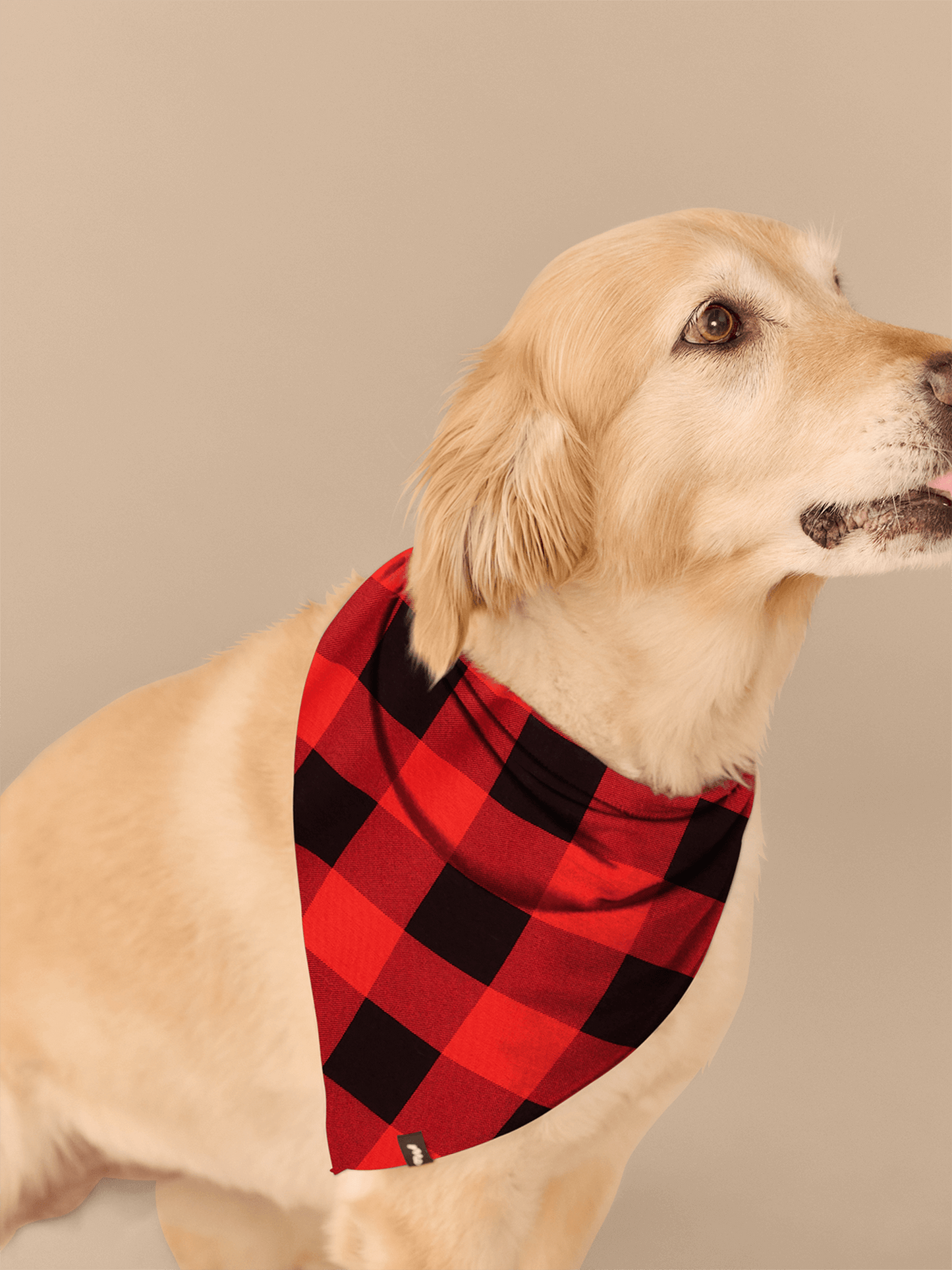 BuddyBands™ | Buffalo Plaid