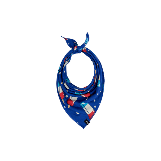 BuddyBands™ | Patriotic Pops