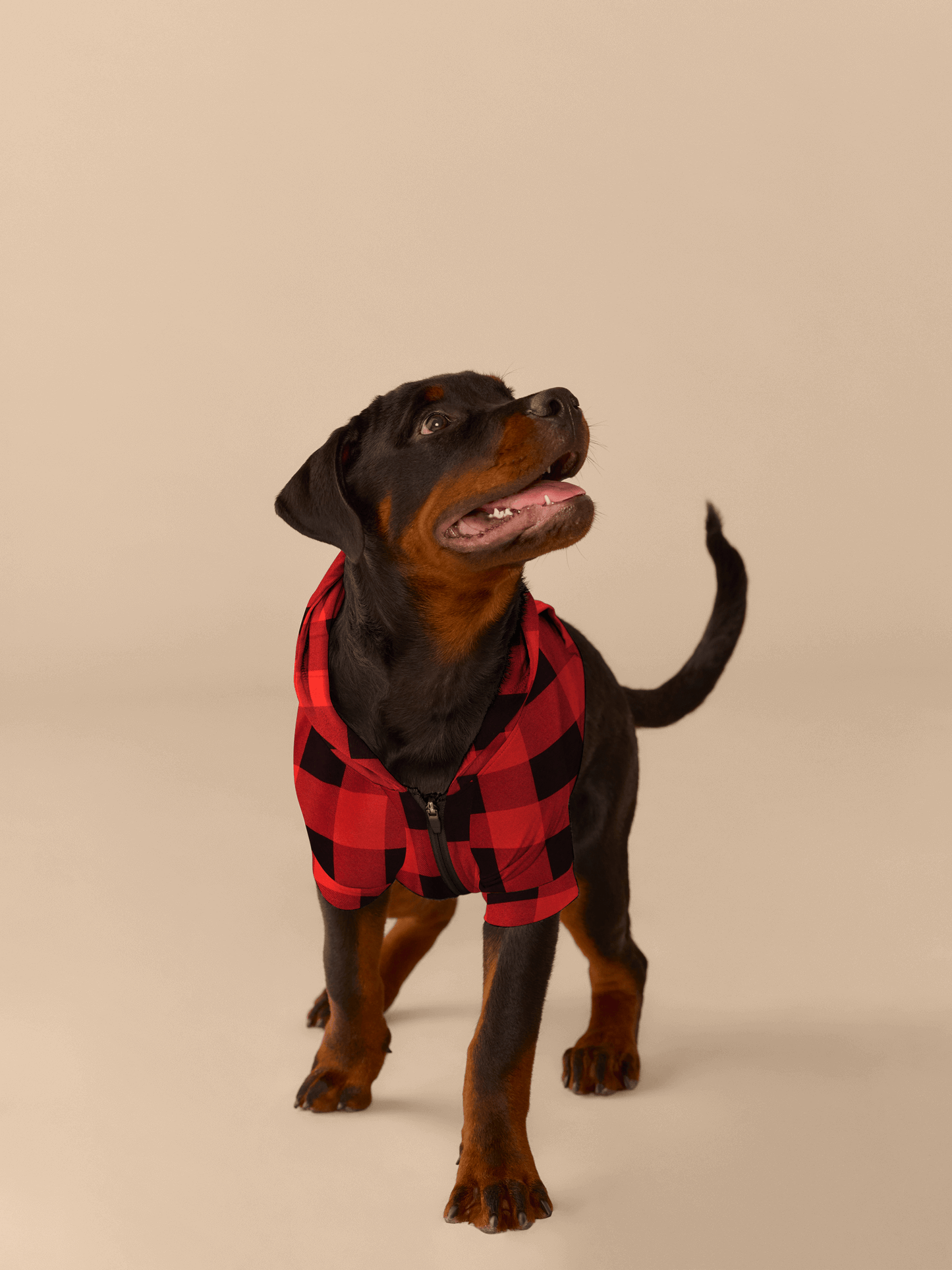 Dog Hoodie | Buffalo Plaid