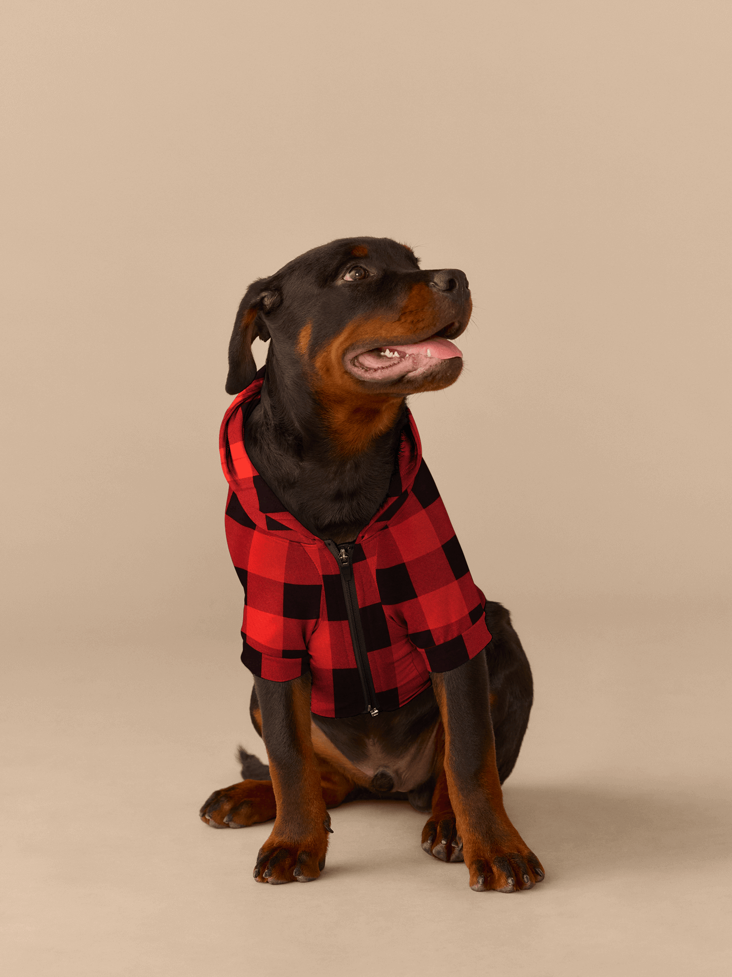 Dog Hoodie | Buffalo Plaid