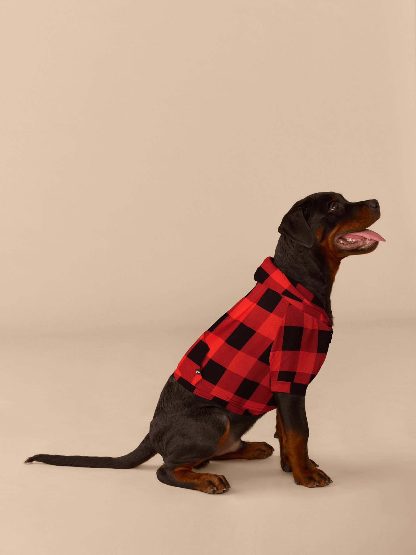 Dog Hoodie | Buffalo Plaid