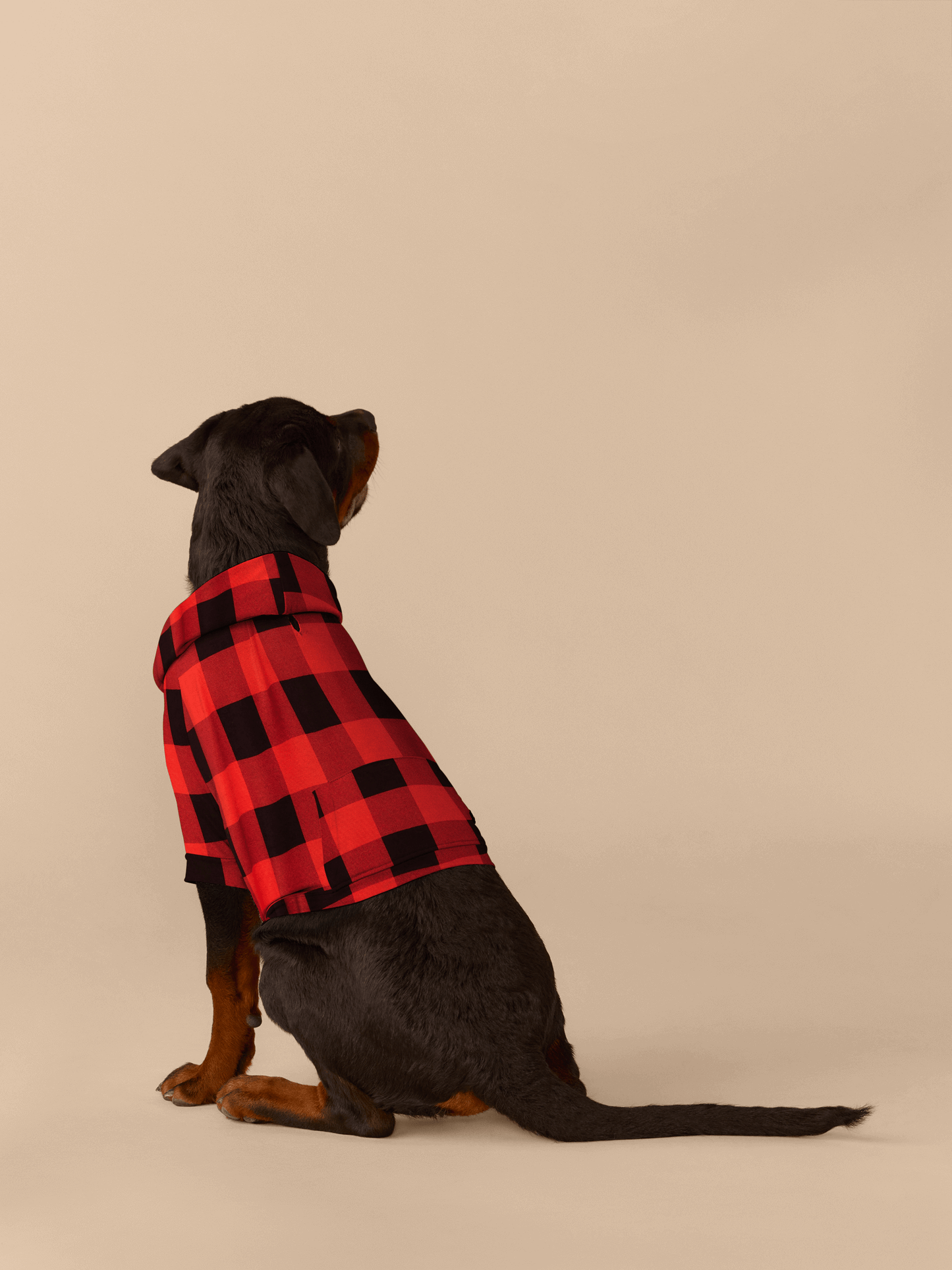 Dog Hoodie | Buffalo Plaid