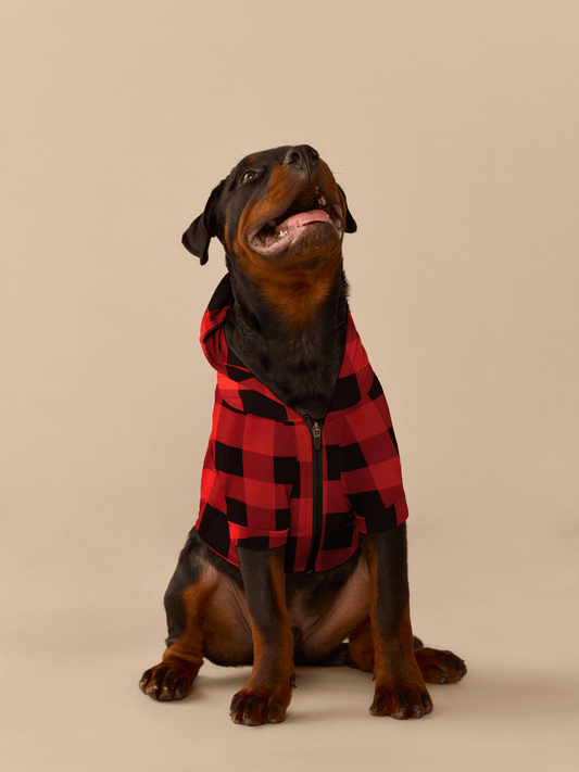 Dog Hoodie | Buffalo Plaid