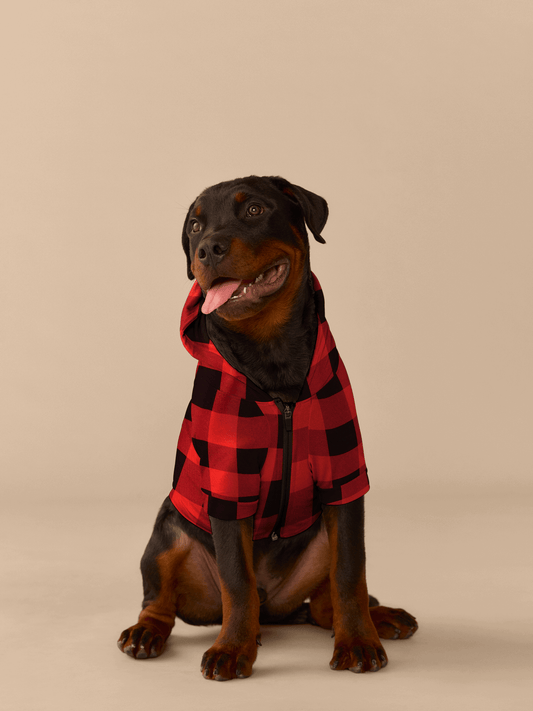 UltraModal™ Dog Hoodie | Buffalo Plaid