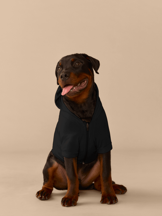 Dog Hoodie | Black