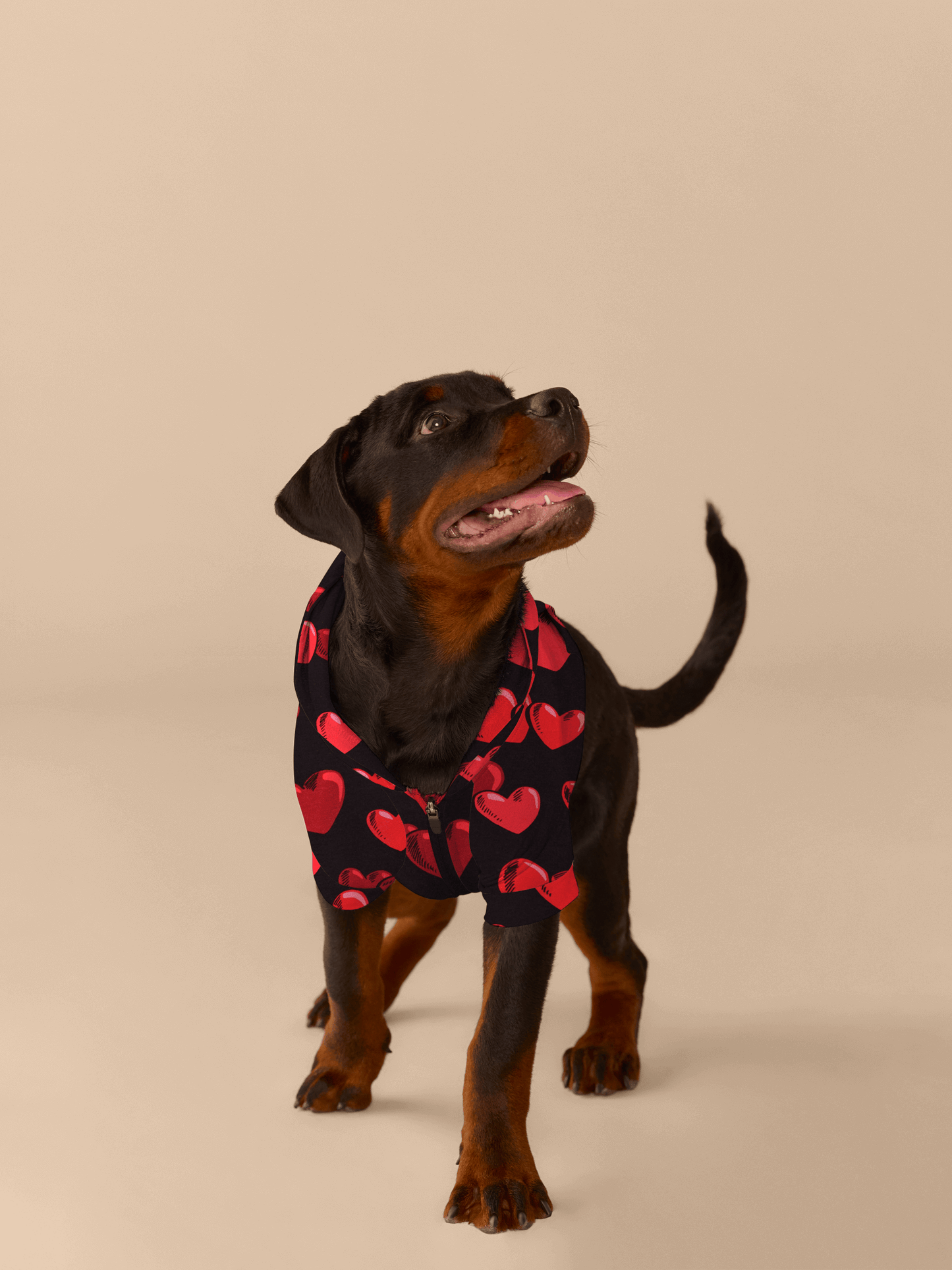 Dog Hoodie | Floating Hearts