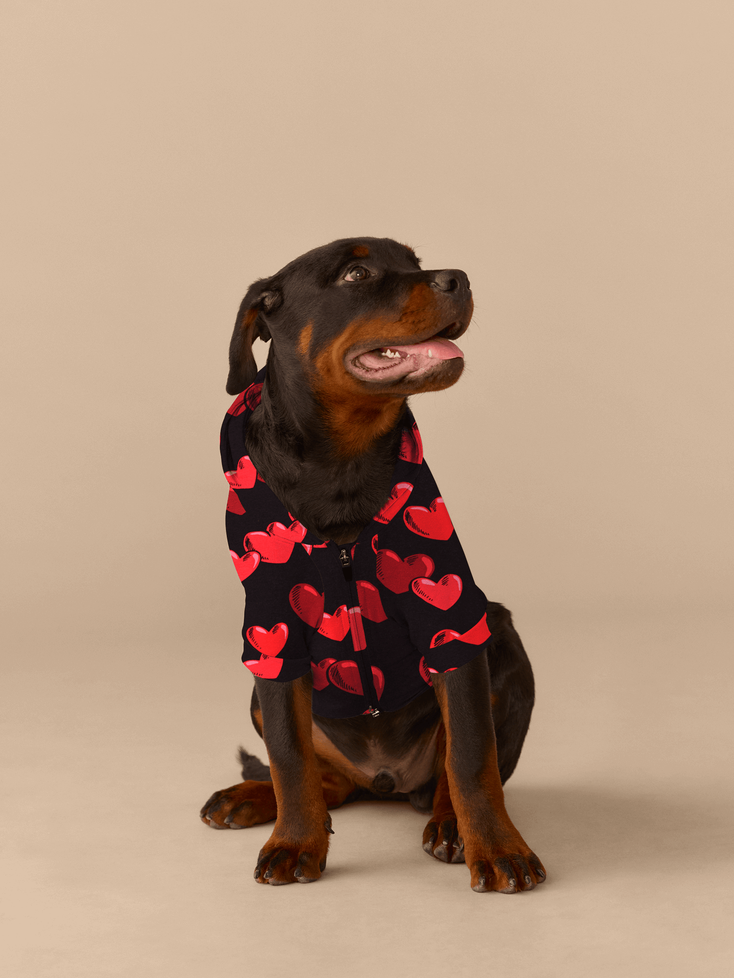 Dog Hoodie | Floating Hearts