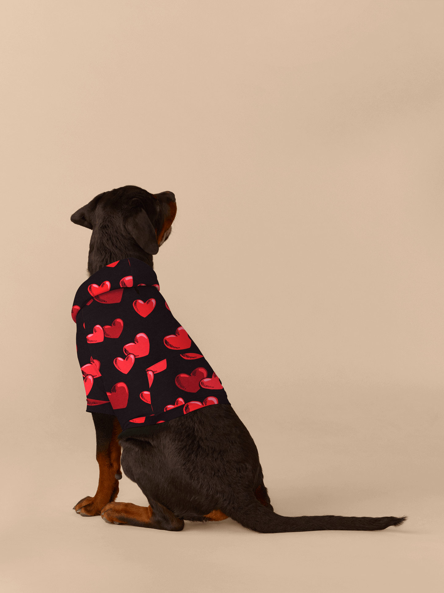 Dog Hoodie | Floating Hearts