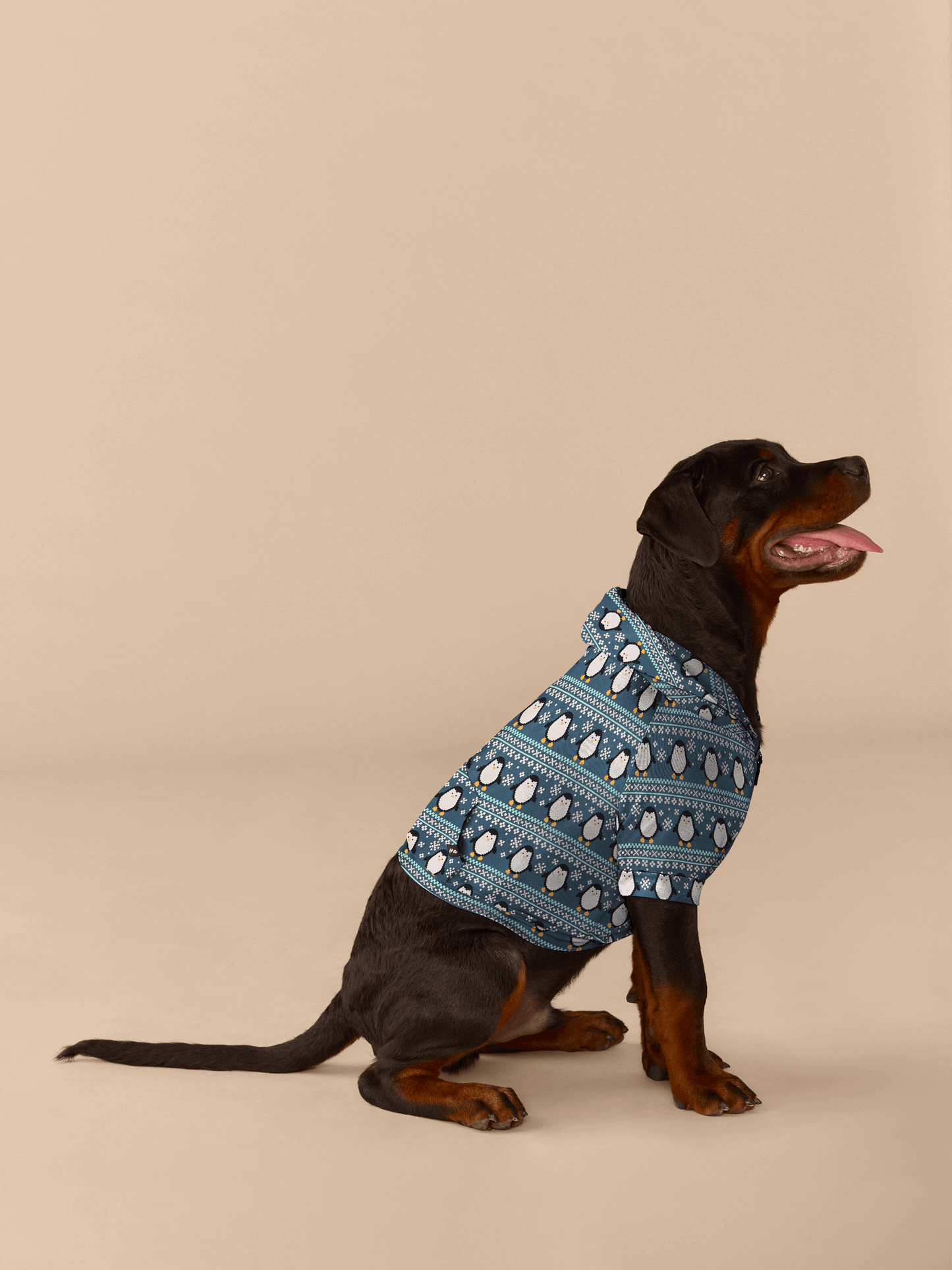 Dog Hoodie | Penguin Sweater