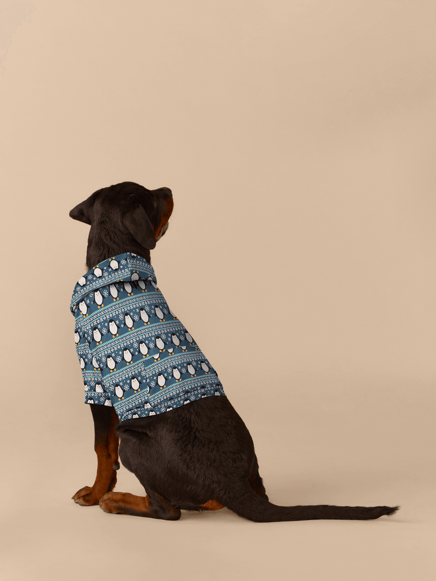 Dog Hoodie | Penguin Sweater