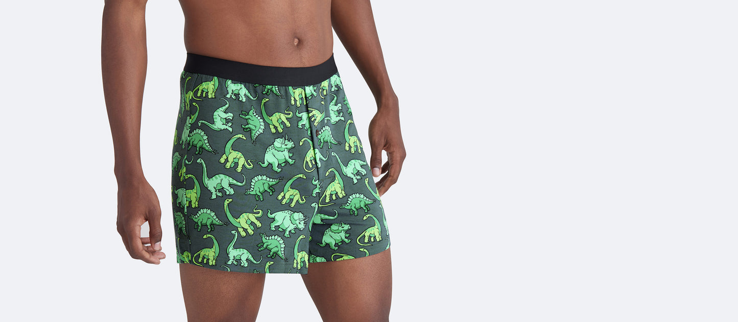 Boxer | Dinos