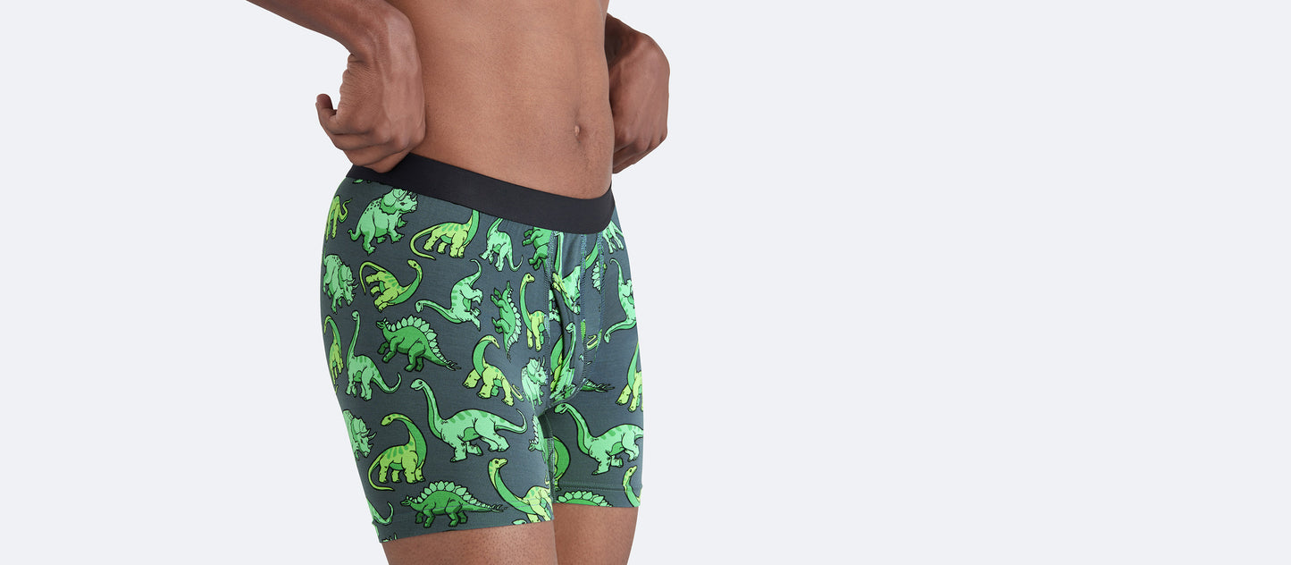 Boxer Brief w/ Fly | Dinos