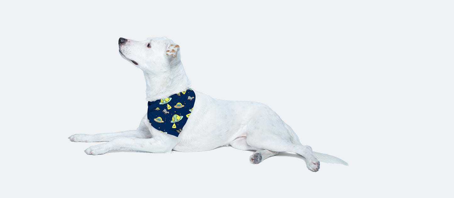 UltraModal™ BuddyBands™  | To The Moon