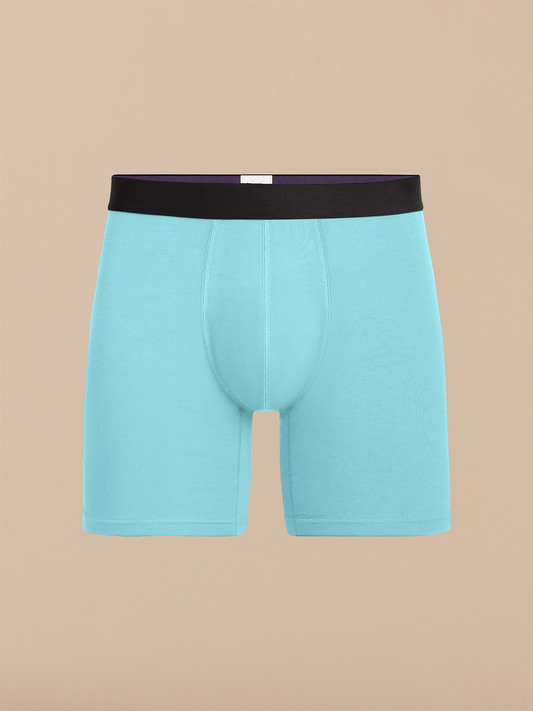 Boxer Brief | Blizzard Blue