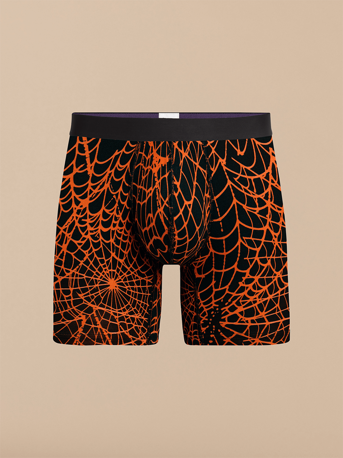 Boxer Brief | Caught in a Web