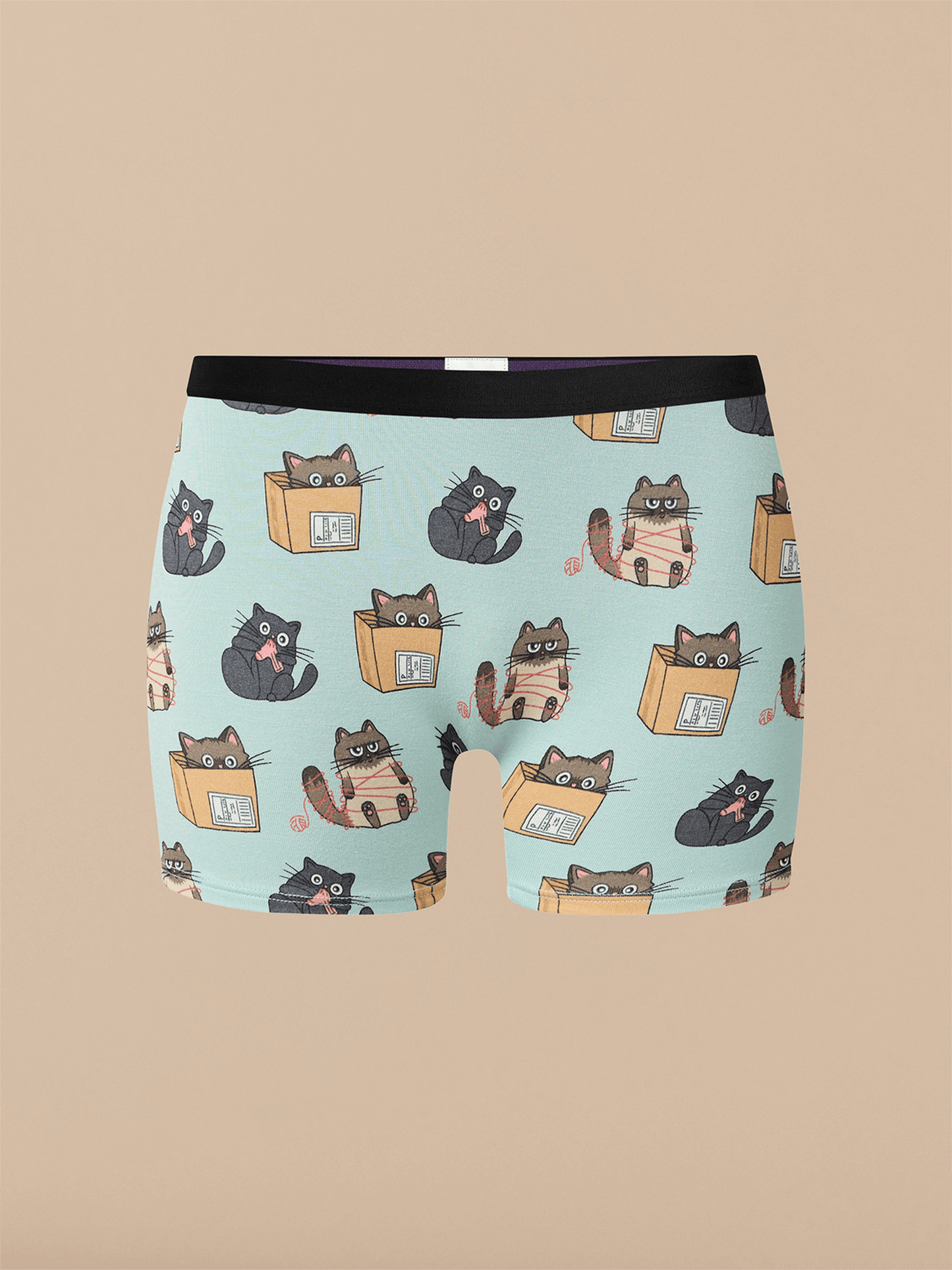 UltraModal™ Core Boyshort | Cats Being Cats