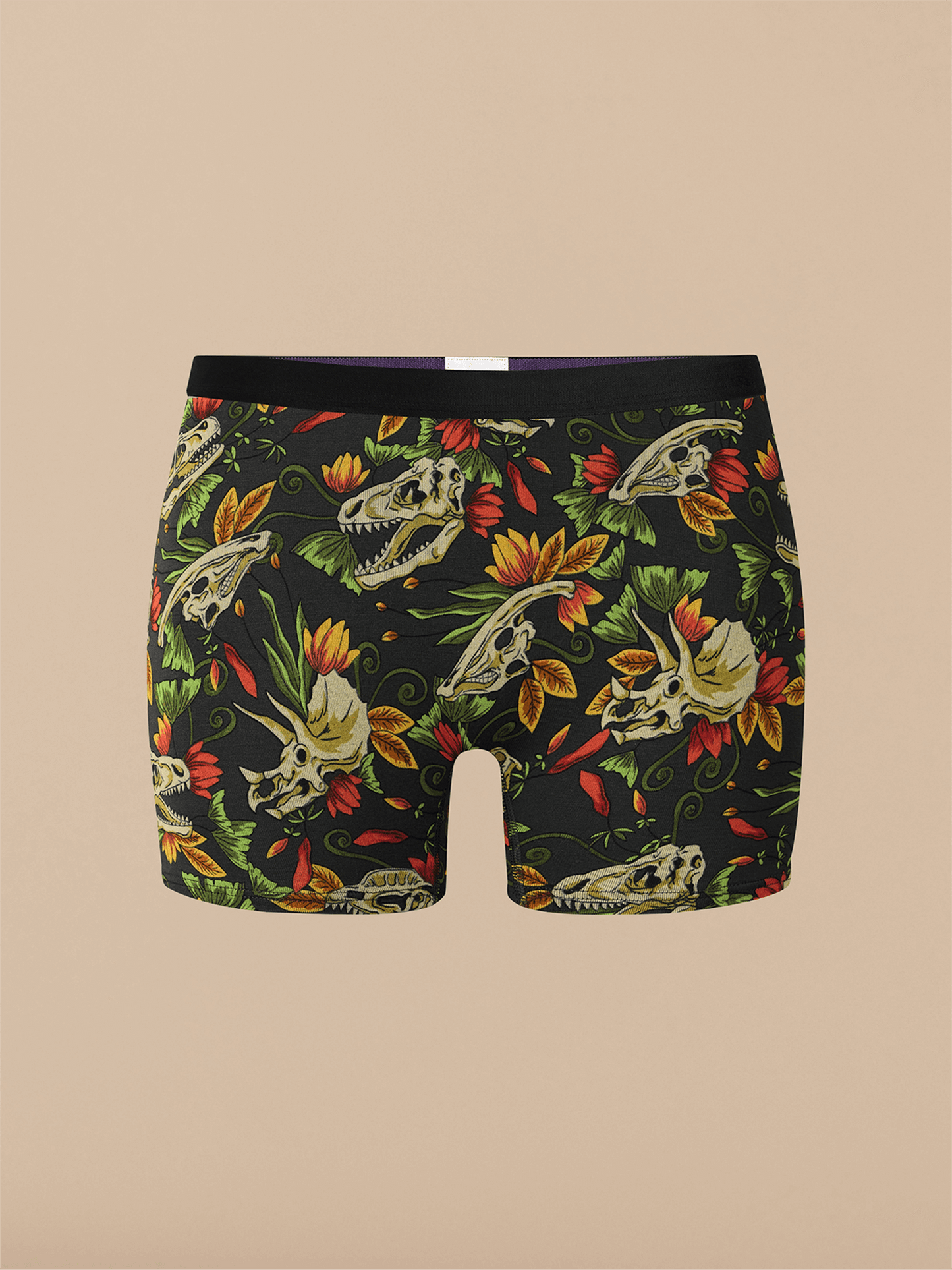 Boyshort | Jurassic Garden