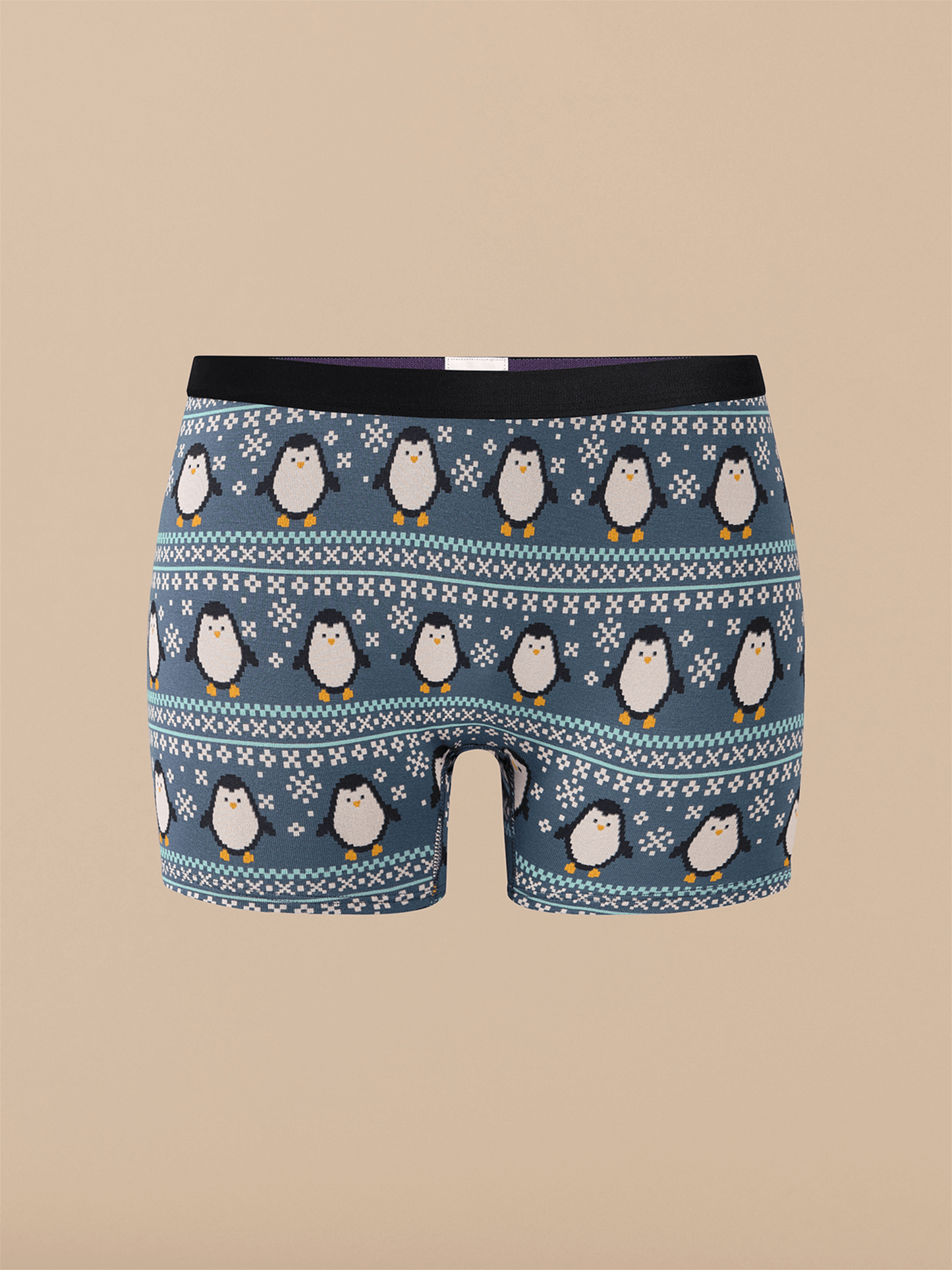 Boyshort | Penguin Sweater