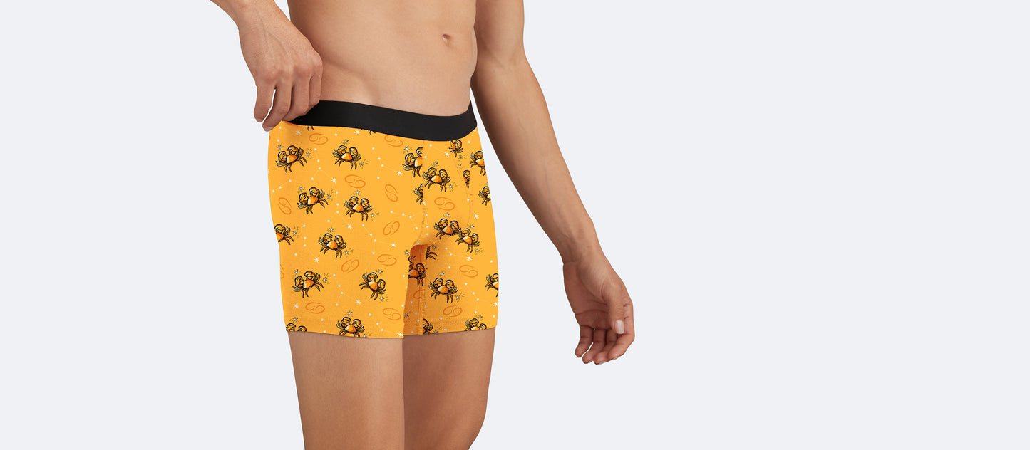 Boxer Brief | Cancer