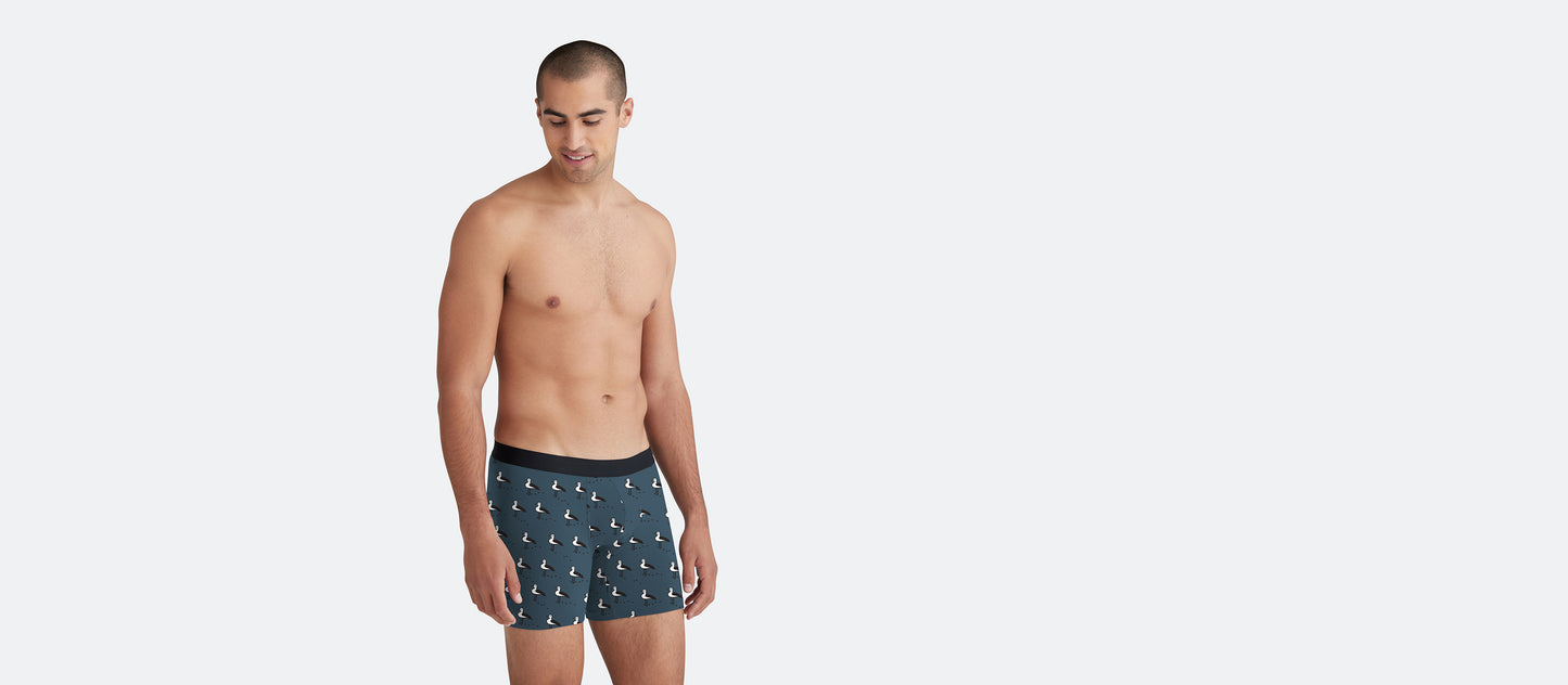 Boxer Brief | Beach Birds