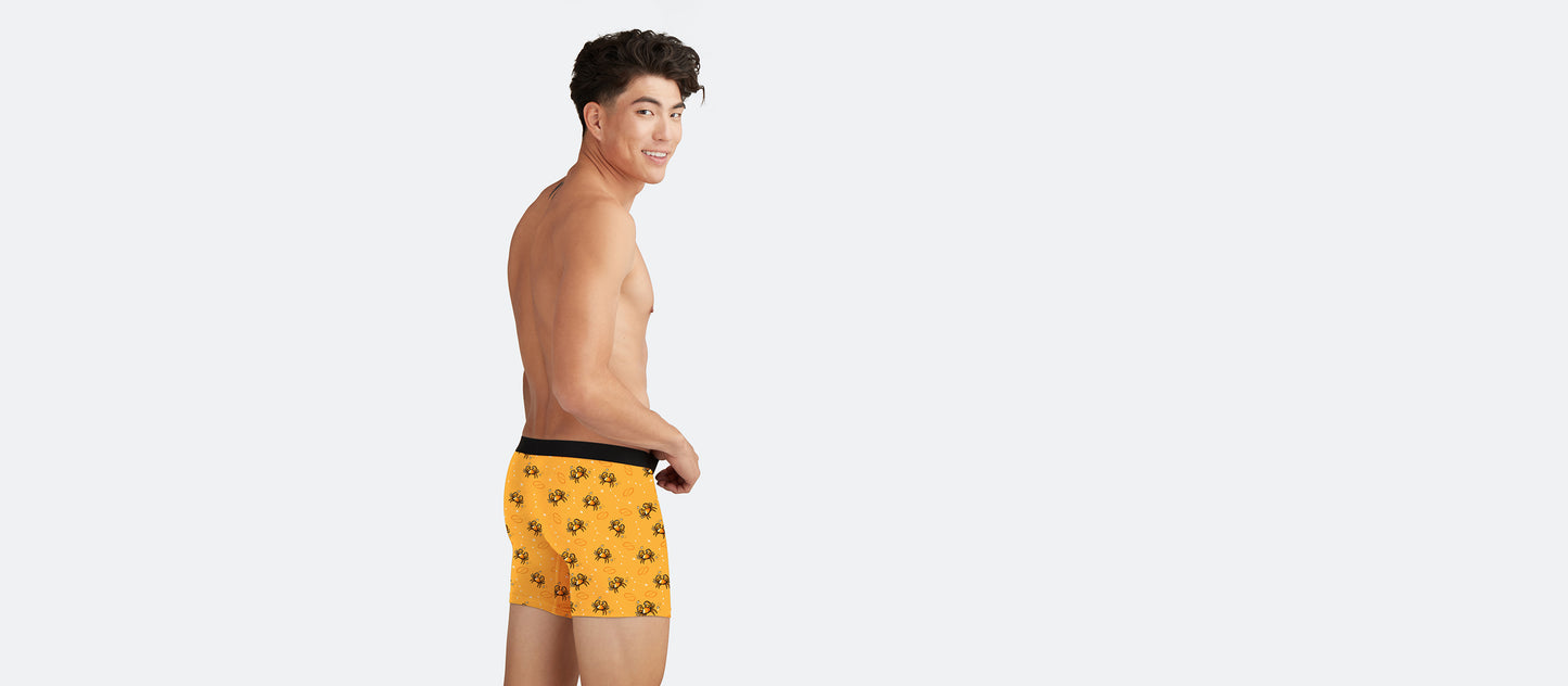 Boxer Brief w/ Fly | Cancer