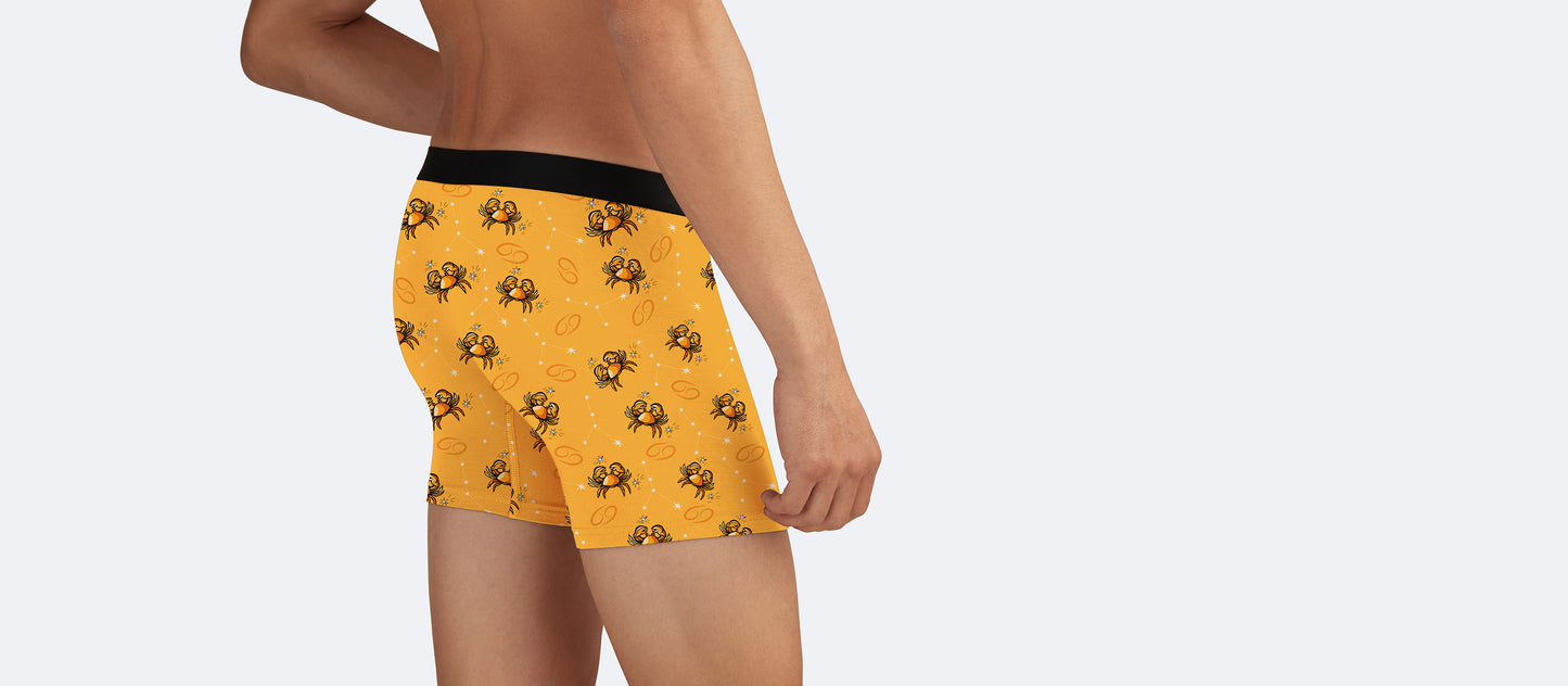 Boxer Brief w/ Fly | Cancer