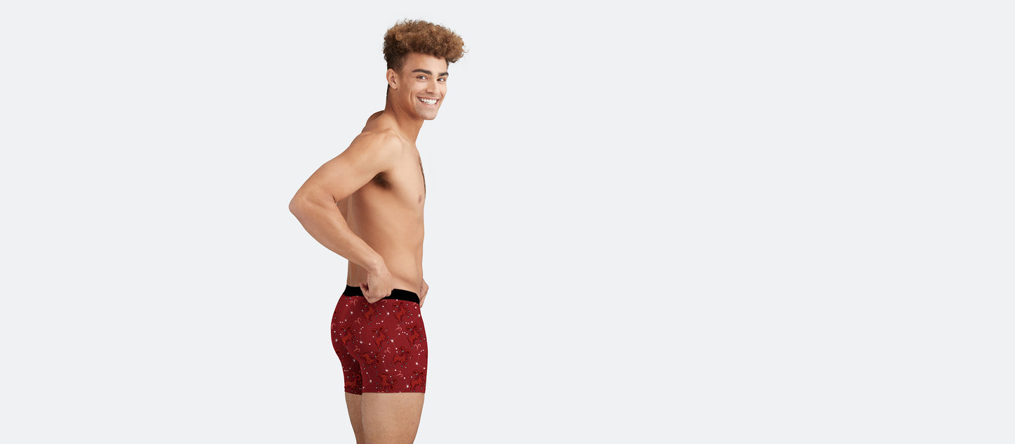 Boxer Brief w/ Fly | Aries