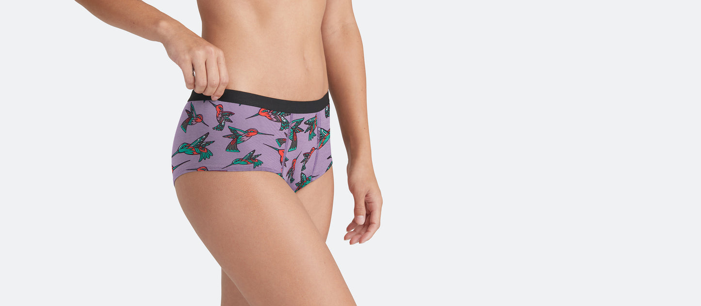 Cheeky Brief | Hummingbirds