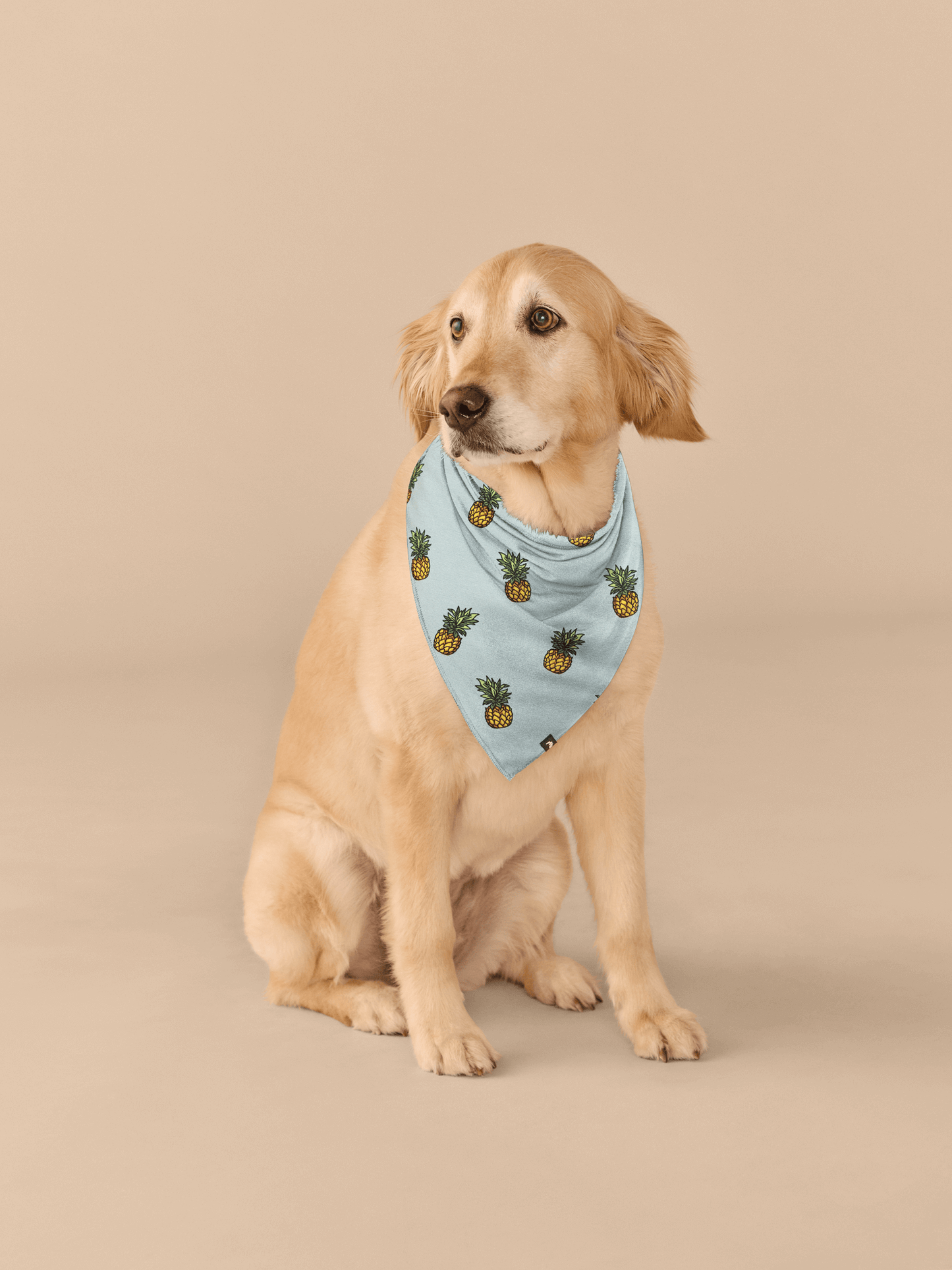 UltraModal™ BuddyBands™  | Pineapples