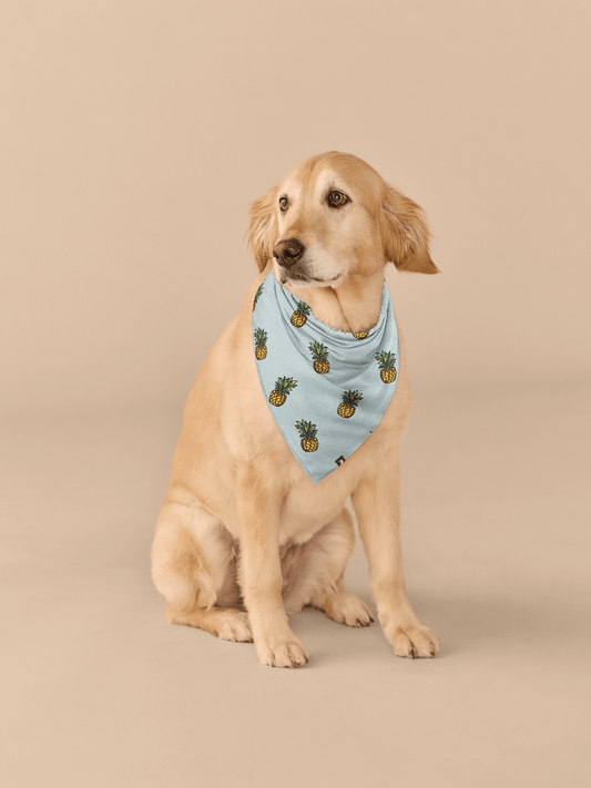 UltraModal™ BuddyBands™  | Pineapples