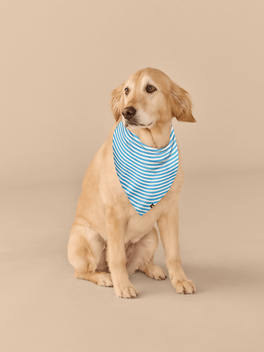 UltraModal™ BuddyBands™  | Amalfi Stripes