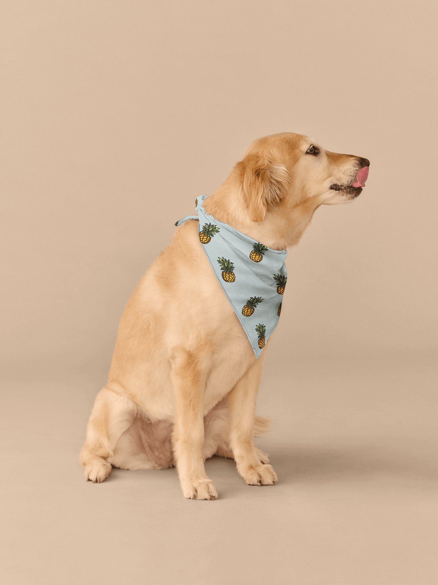 UltraModal™ BuddyBands™  | Pineapples