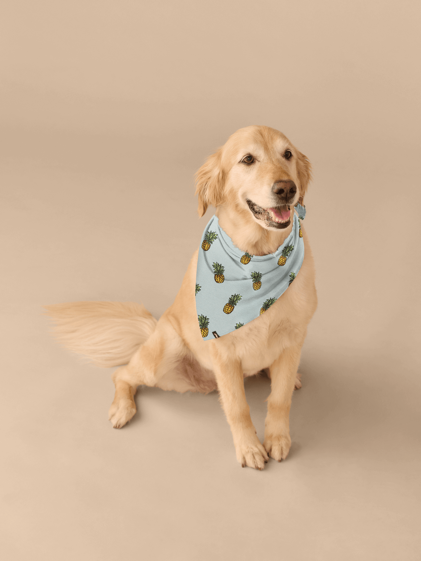 UltraModal™ BuddyBands™  | Pineapples