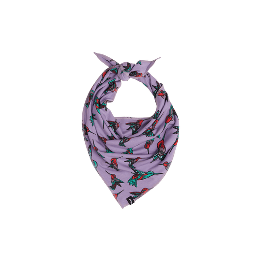 UltraModal™ BuddyBands™  | Hummingbirds