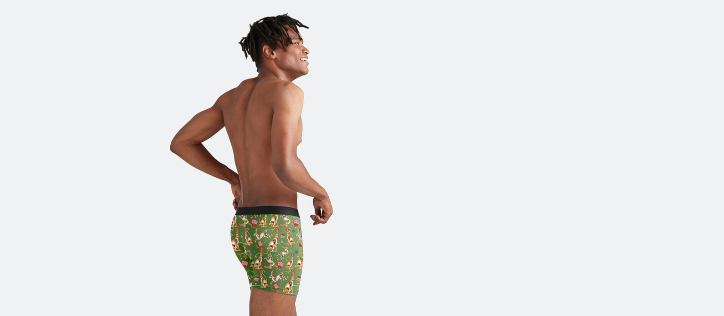 Boxer Brief w/ Fly | Love, Flowers, & Hares