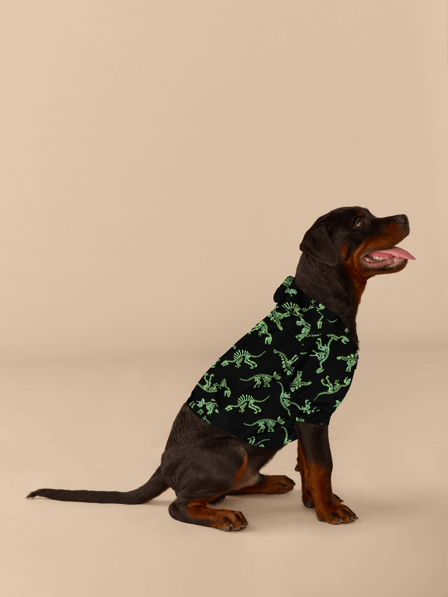 Dog Hoodie | Electric Dino