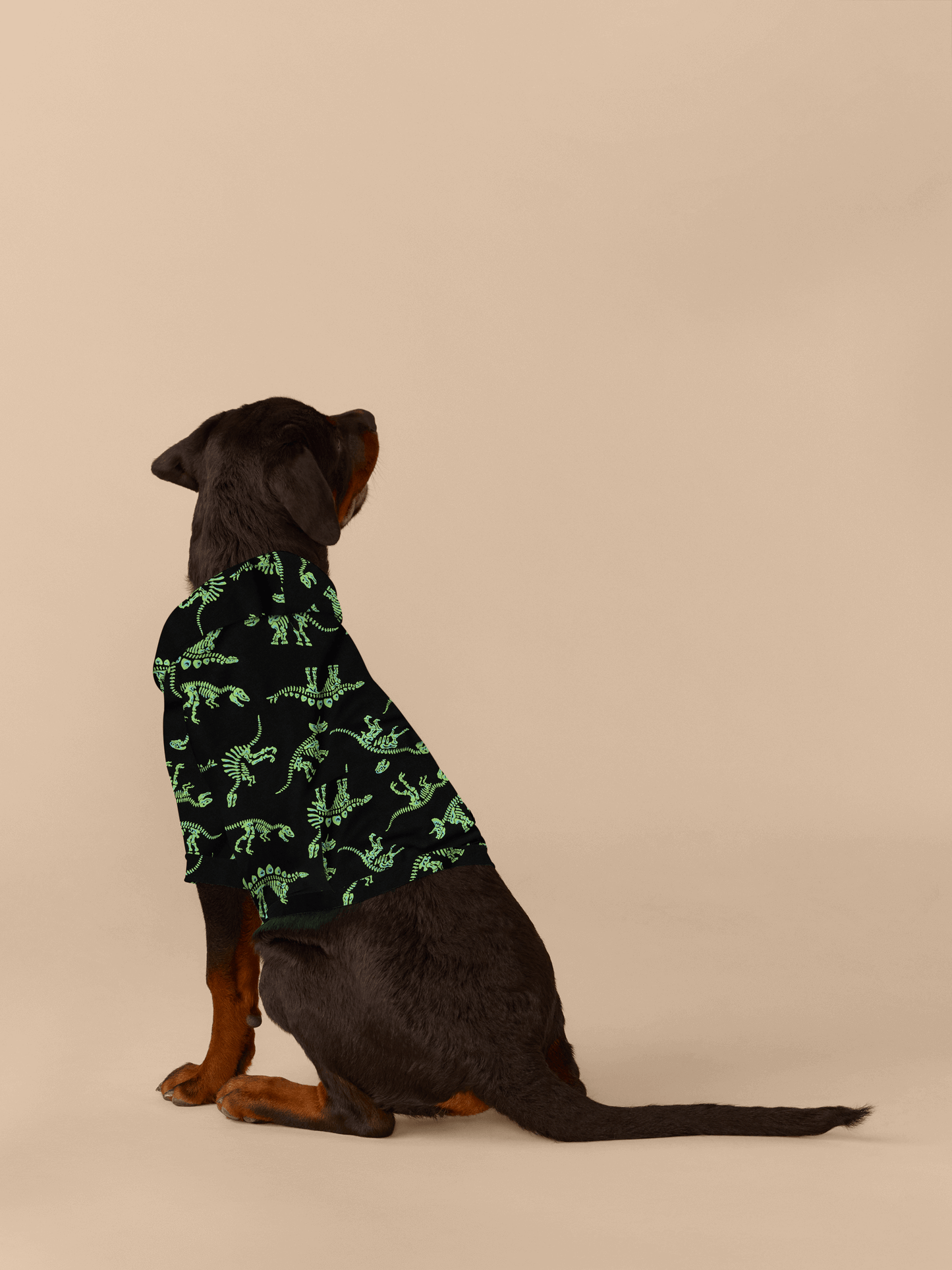 Dog Hoodie | Electric Dino