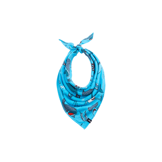 UltraModal™ BuddyBands™  | Jaw-Some