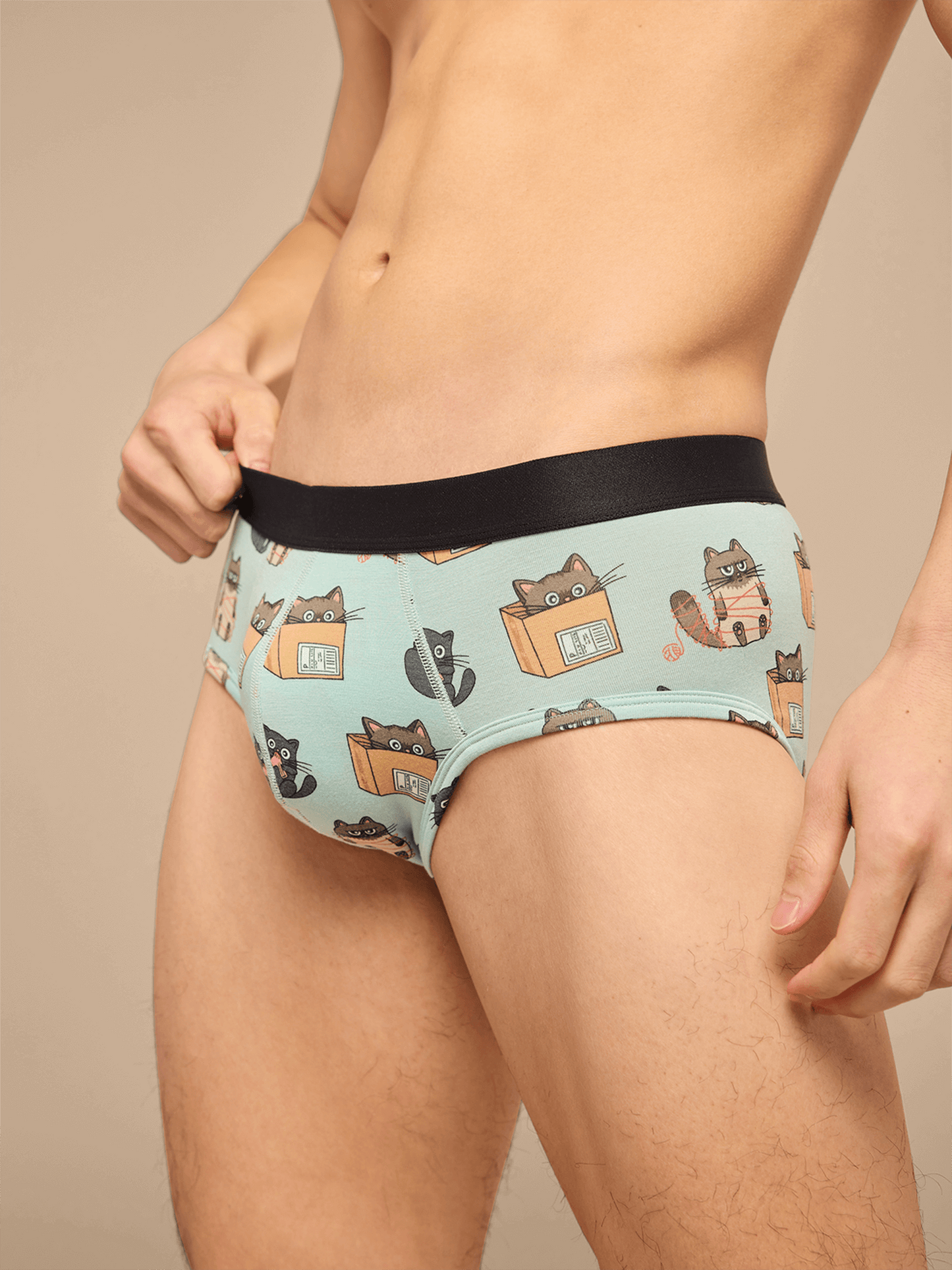 UltraModal™ Core Brief | Cats Being Cats