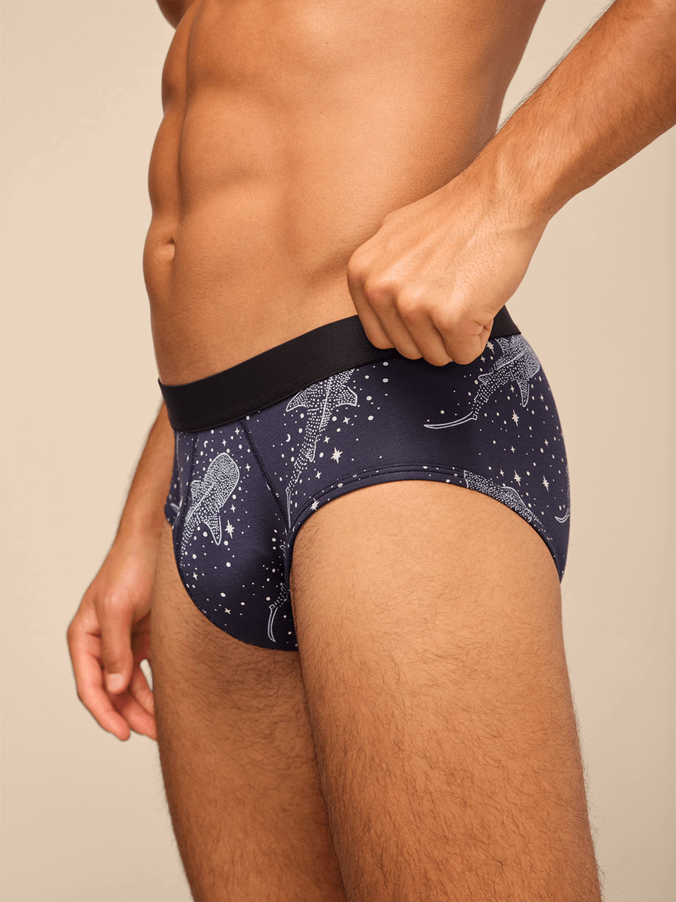 Brief | Starry Sharks