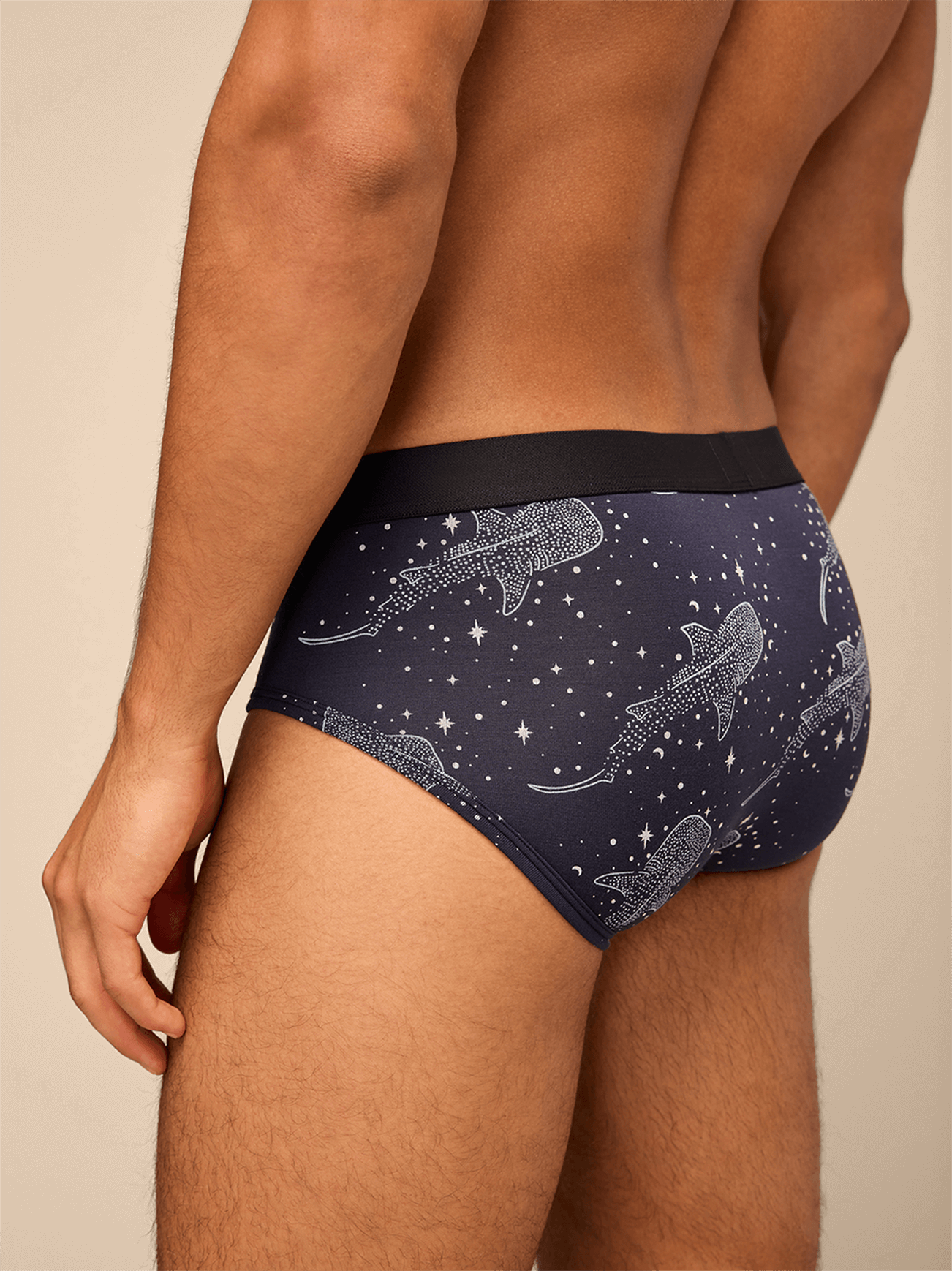 Brief | Starry Sharks