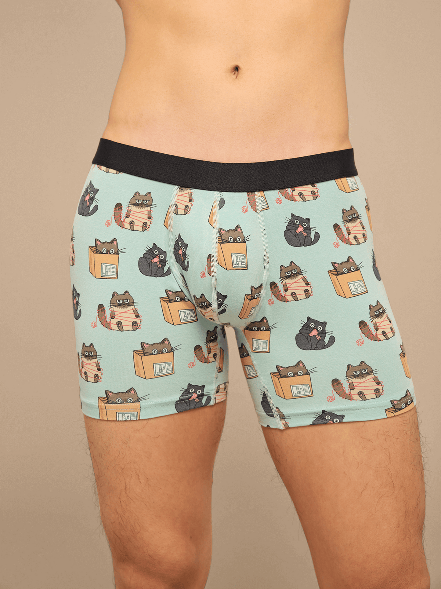 UltraModal™ Core Boxer Brief | Cats Being Cats